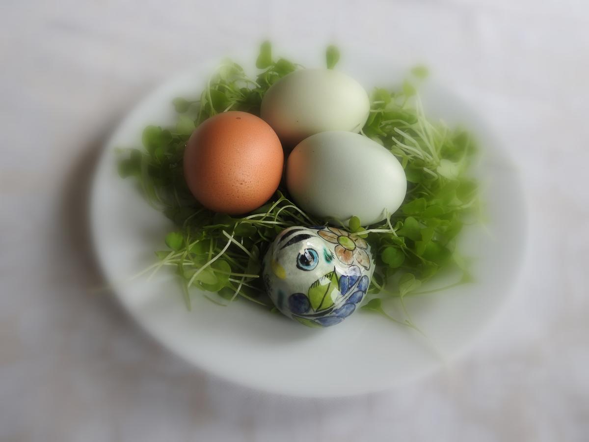The Empty Nest B & B Carrying Place 외부 사진